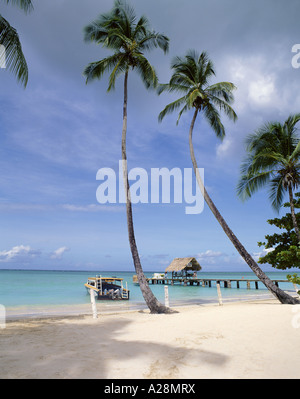 Tropical beach, Pigeon Point, Tobago, Trinidad & Tobago, Lesser Antilles, Caribbean Stock Photo