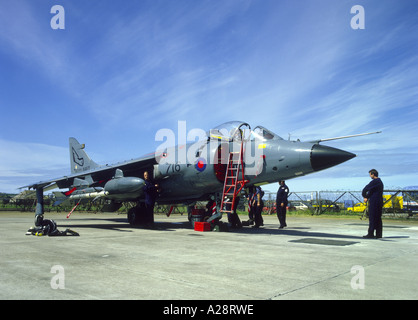 BAe British Aerospace Sea Harrier FRS1 Serial No XZ493 Royal Naval VTOL/STOVL Jet Fighter  GAVM 2073-214 Stock Photo