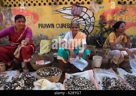 Market trader selling fresh shell fish Mapusa city Goa India Stock Photo