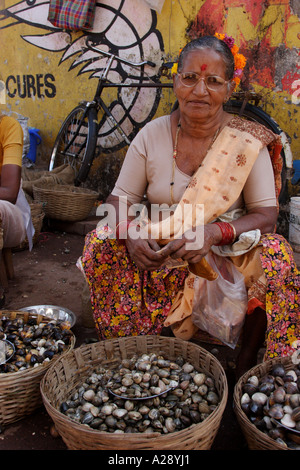 Market trader selling fresh shell fish Mapusa city Goa India Stock Photo