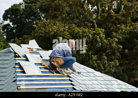 a builder fixing roof Stock Photo