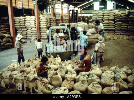 Workers load coffee beans into burlap sacks in a Foncafe coffee cooperative warehouse in Lara State Venezuela Stock Photo
