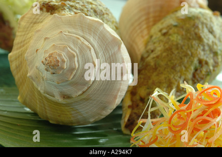 Baked stuffed conch with goose liver and fresh fungus Stock Photo