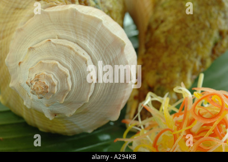 Baked stuffed conch with goose liver and fresh fungus Stock Photo