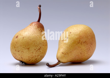 Two pears photographed against graduated grey background Stock Photo