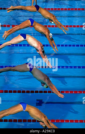Five male swimmers dive into the pool at the start of a race Stock Photo