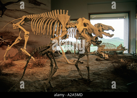 Agate Fossil Beds National Monument near Harrison, Nebraska. Stock Photo