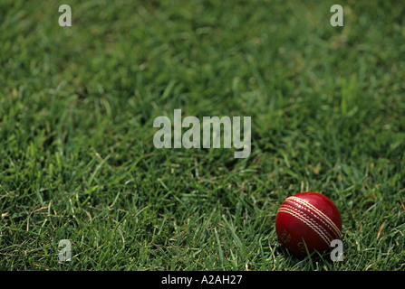 Close up of red cricket ball lying on the grass Stock Photo