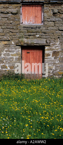Red barn doors with wildflowers, Swaledale