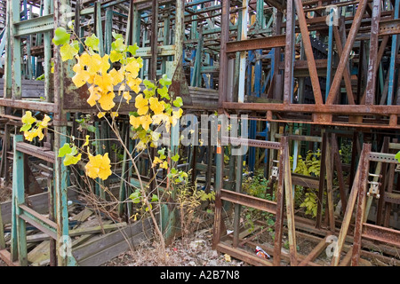 Closed Auto Parts Factory Stock Photo