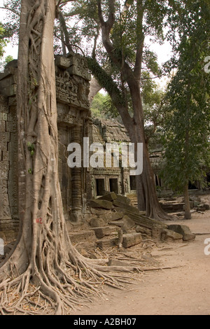 Cambodia Siem Reap Angkor Thom group Ta Prohm Buddhist Temple built circa 1186 trees growing within central sanctuary Stock Photo