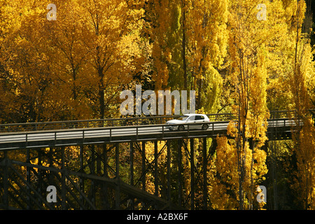 Autumn Colours Victoria Bridge Kawarau River Kawarau Gorge near Queenstown South Island New Zealand Stock Photo