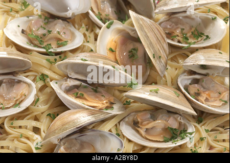 Plate Of Many Clams Detail Seafood Stock Photo