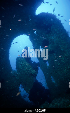 The Greek Shipwreck Propeller And Rudder Stock Photo