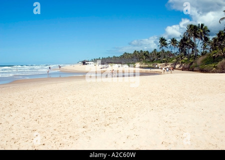 Costa do Sauípe beach state of Bahia Brazil Stock Photo