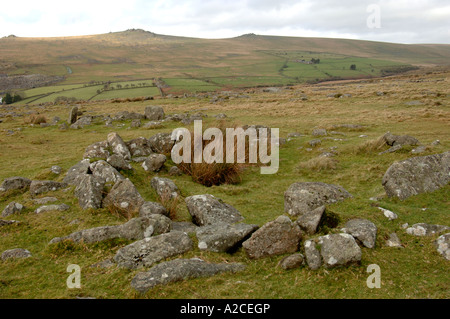 Stone Relic Circles on Dartmoor National Park near Merrivale, Tavistock.  XPL 4322-407 Stock Photo