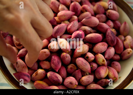 A tanned hand picking a pistachio from a bowl of fresh pink pistachio nuts with their outer husks on Stock Photo