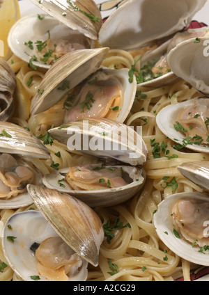 Plate Of Clams Stock Photo