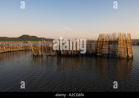 Fish traps in Kosi Bay mouth Maputaland Kwazulu Natal South Africa Stock Photo