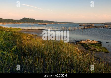 Fish traps in Kosi Bay mouth Maputaland Kwazulu Natal South Africa Stock Photo