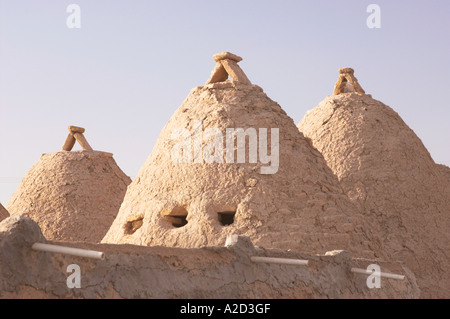 Typical bee hive shaped homes in the village of Harran Turkey Stock Photo