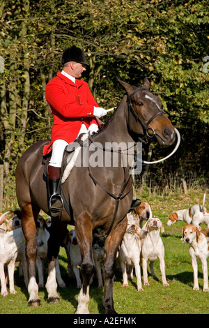 Huntsman with his hounds Suffolk England UK Stock Photo