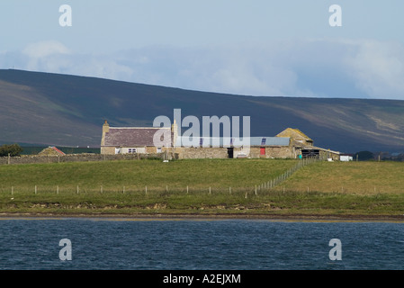 dh Holm of Grimbister FIRTH ORKNEY Farm cottage croft house on small island shore of Firth Bay