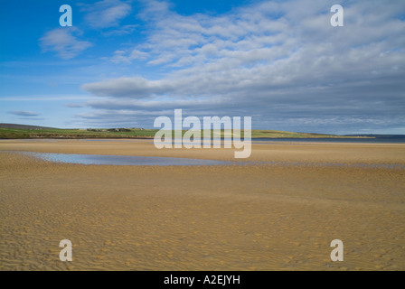 dh Swanbister ORPHIR ORKNEY Sandy beach at low tide and Scapa Flow coast Stock Photo