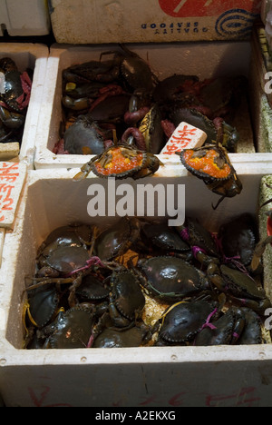dh Chun Yeung Street Market NORTH POINT HONG KONG Display of small fresh crabs for sale cut open shells to show freshness Stock Photo