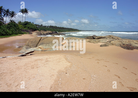 Sri Lanka beach - Indian Ocean; Bentota beach, empty tropical beach on the west coast of the island of Sri Lanka, Asia Stock Photo