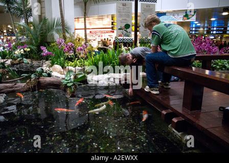 Two teenage boys in fern orchid garden Changi airport Singapore Stock Photo