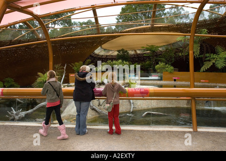 Children at Platypus watching area Healesville wildlife sanctuary Victoria Australia Stock Photo