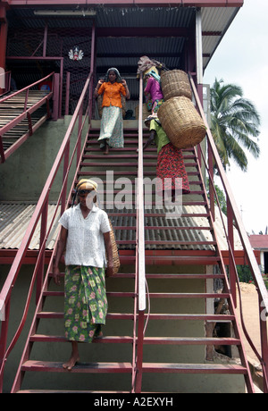 Tea pickers entering and leaving the tea factory with ^sacks of tea leaves, Sri Lanka Stock Photo