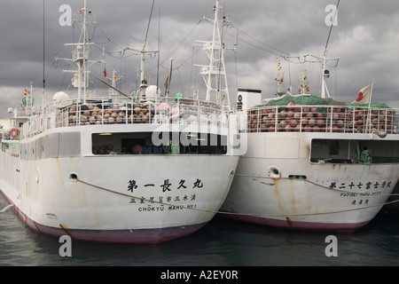 Japanese fishing boats in Las Palmas docks on Gran Canaria Stock Photo