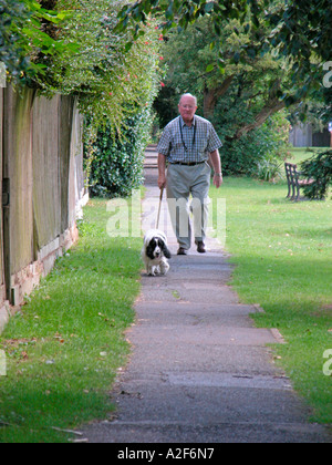 elderly man using a walking stick walking his English springer spaniel dog Ferring West Sussex