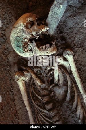 Laughing skeleton from the primeval burial ground showing in the National Museum in Prague, Czech Republic Stock Photo