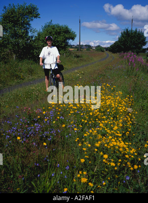 Lady cyclist and wild flowers adjacent to a cycle route, the Browney valley between Durham and Lanchester, Co Durham, England UK Stock Photo
