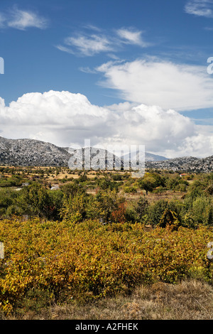 Katharo Plateau, (Katharos Plateau) near Kritsa, Eastern Crete, Greece Stock Photo