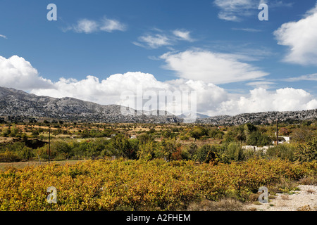 Katharo Plateau, (Katharos Plateau) near Kritsa, Eastern Crete, Greece Stock Photo