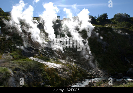 Asia, Russia, Russian Far East, Kamchatkan Peninsula. Valley of the Geysers Stock Photo