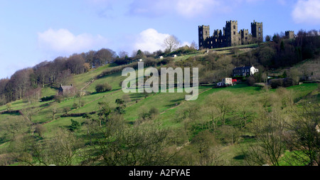 View of Riber Castle a folly above Matlock in Derbyshire England built by John Smedley in the nineteenth century Stock Photo