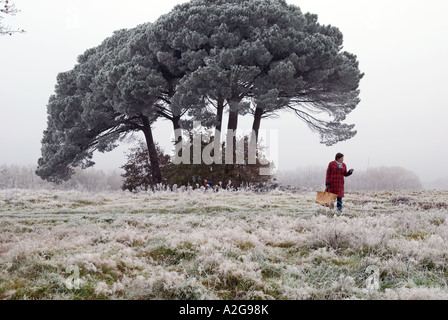 looking across a frost covered field with a pine tree and a woman in red talking to someone off frame Stock Photo