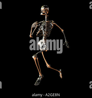 Skeleton Running Stock Photo
