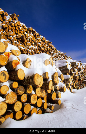 lumber Baker Brook New Brunswick Canada Stock Photo - Alamy