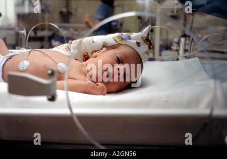 Premature baby unit in London hospital. Stock Photo
