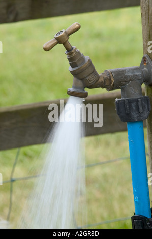 Running water tap in field for animals and outside use Stock Photo