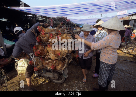Poultry for sale, Long Bien Market, Hanoi, Vietnam. From story on Avian Flu in Asia. Stock Photo