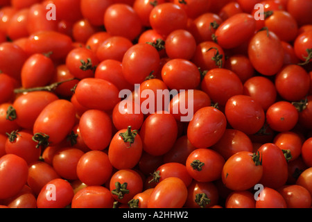 Cherry Tomato Stock Photo