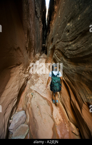 Jane Guyer canyoneering in Bluejohn canyon, Robbers Roost area, Utah Stock Photo