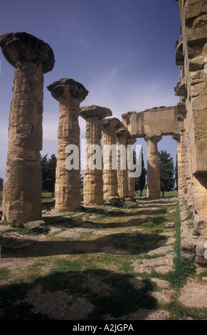 Africa, Libya, Cyrene, Zeus temple columns Stock Photo